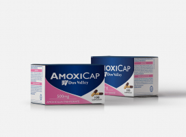AMOXICAP Cap 500mg 100s | Side Effects | Price | Buy | Online | Next Health - Pakistan
